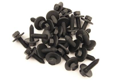 Door Hinge Bolt Kit, 24 Pc, 69-72 Blazer