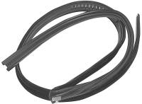 Upper Door Glass Run Felt Weatherstrip, LH, 81-91 Blazer